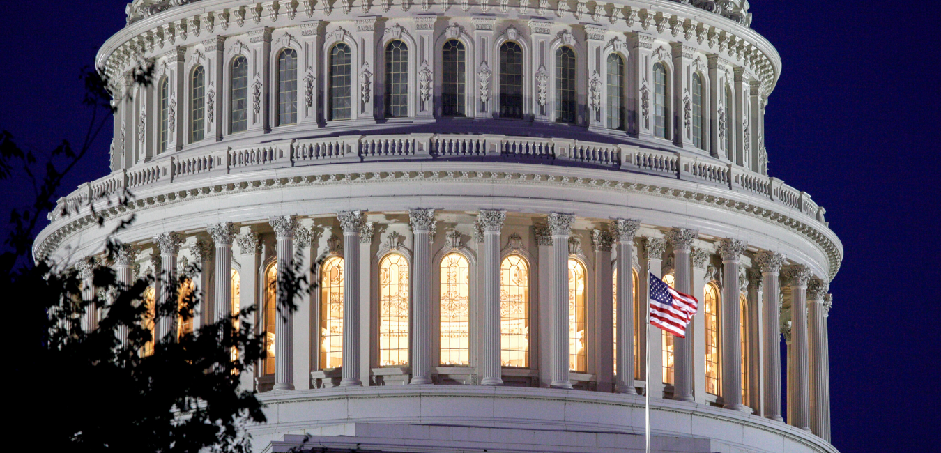 Capitol dome at night, with flag visible